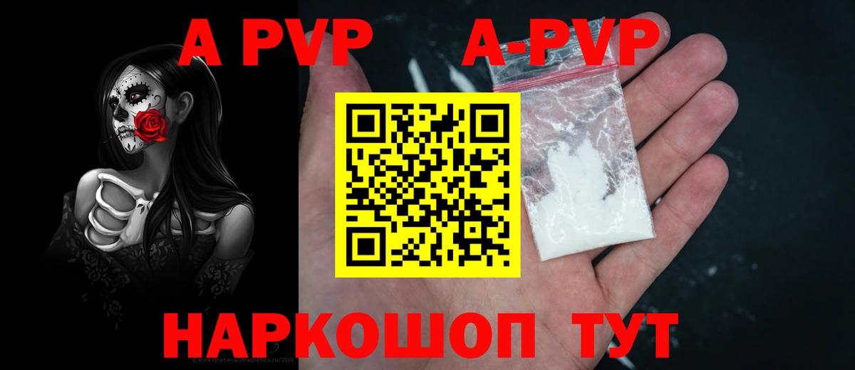 Альфа ПВП СК Туапсе
