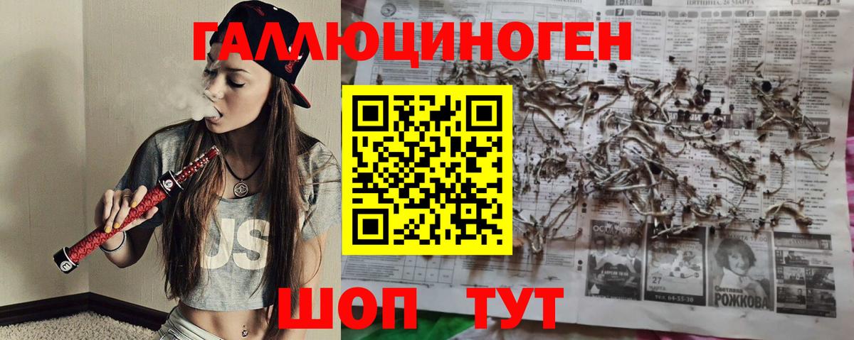 Галлюциногенные грибы Psilocybine cubensis Туапсе