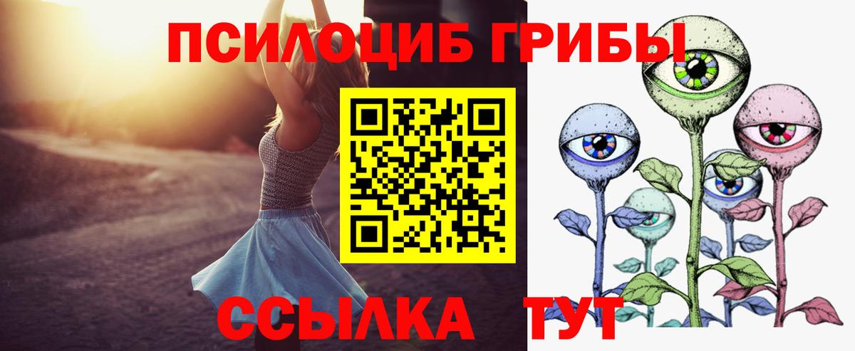 где купить наркотик  Галлюциногенные грибы Psilocybe  Вход с VPN  Туапсе 